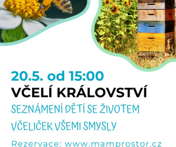 Včelí království všemi smysly