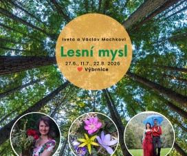 Lesní mysl