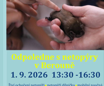 Odpoledne s netopýry