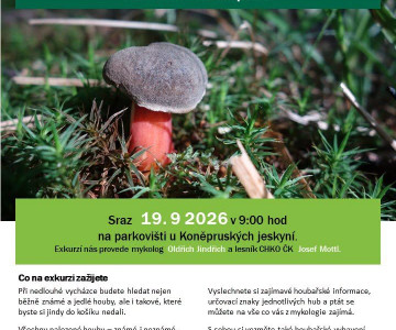 Mykologická exkurze: Po okolí Koněprus