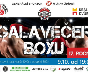 Galavečer boxu