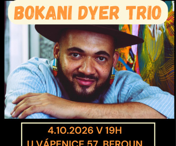 Bokani Dyer Trio