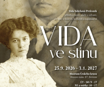 VIDA ve stínu