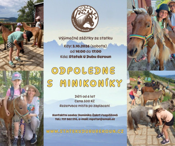 Odpoledne s minikoníky