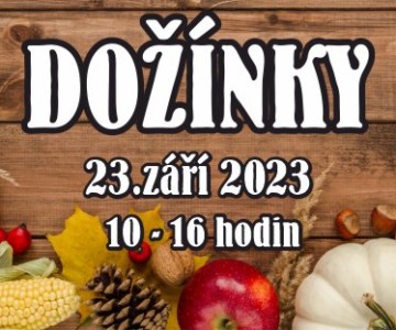 DOŽÍNKY
