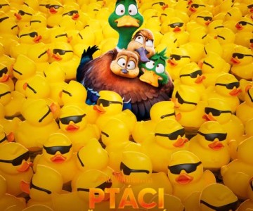 Ptáci stěhováci