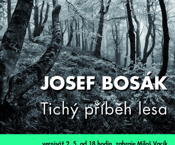 JOSEF BOSÁK - Tichý příběh lesa