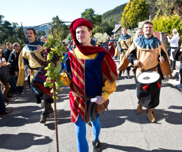XXVII. Karlštejnské vinobraní