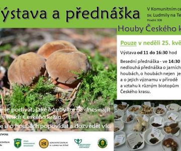 Houby českého krasu
