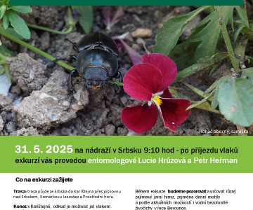 Entomologická exkurze